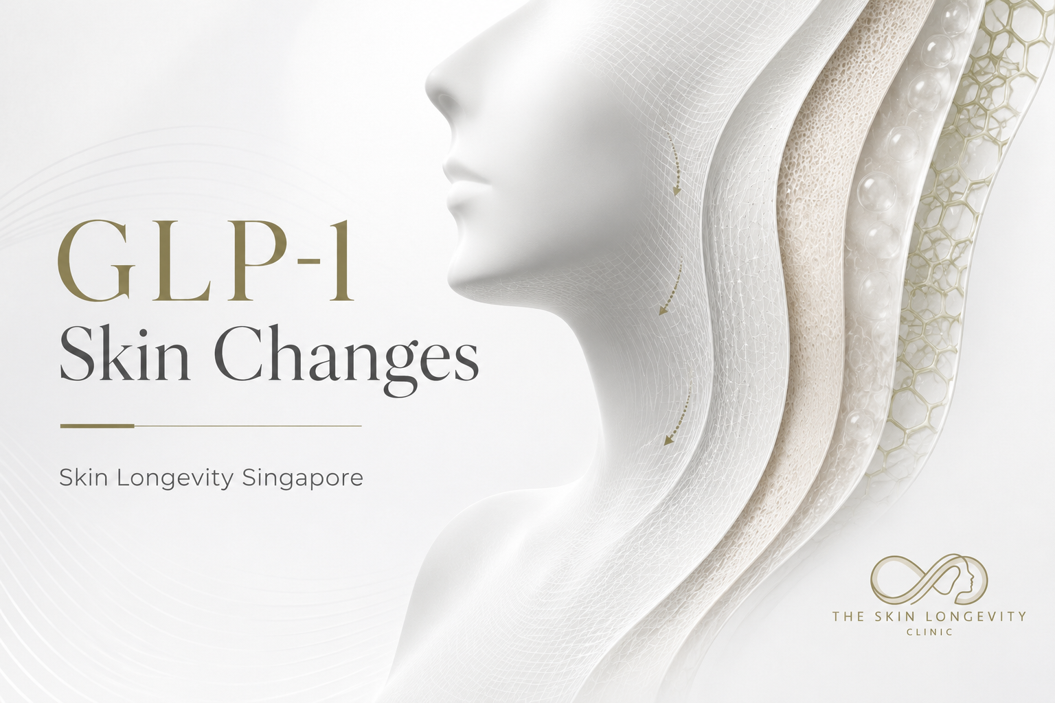 GLP-1 skin changes guide showing facial tissue layers and skin laxity during weight loss.